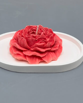 Passion Bloom